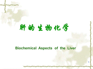 肝的生物化学课件PPT.ppt