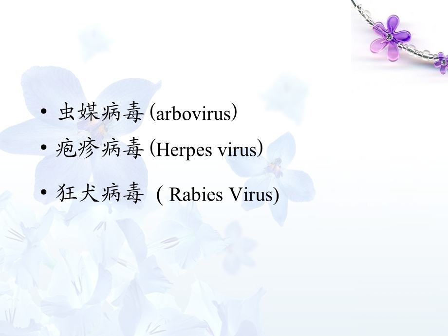 微生物-其他致病性病毒.ppt_第2页