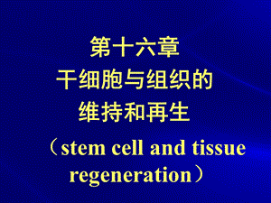 干细胞与组织维持和再生唐霓.ppt