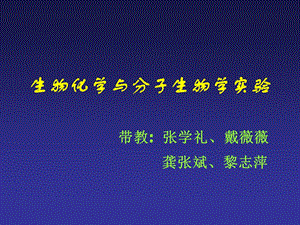 实验一凝胶过滤层析分离蛋白质.ppt