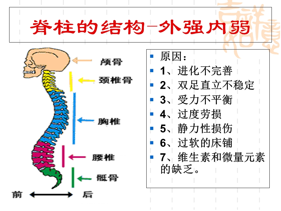 太阳神提示您给脊柱一点爱护方案.ppt_第3页