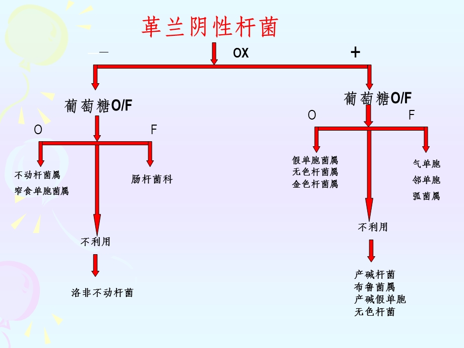 微生物检验第八章非发酵阴杆ppt课件.ppt_第3页