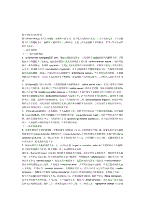 脑干的临床应用解剖.doc