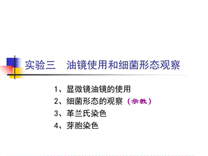 实验三-显微镜油镜的使用及细菌形态观察.ppt