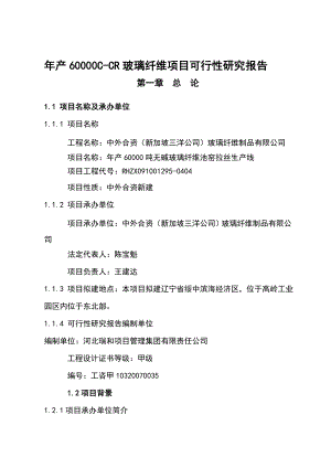 产6万吨无碱池窑玻璃纤维生产线项目可研报告118716529.doc