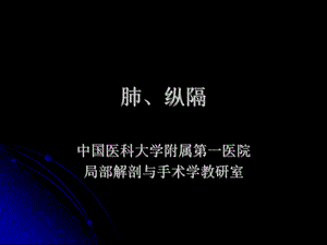 局部解剖学课件第十四部分 肺、纵隔.ppt