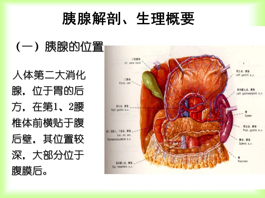 急性胰腺炎患者的护理ppt课件.ppt_第3页