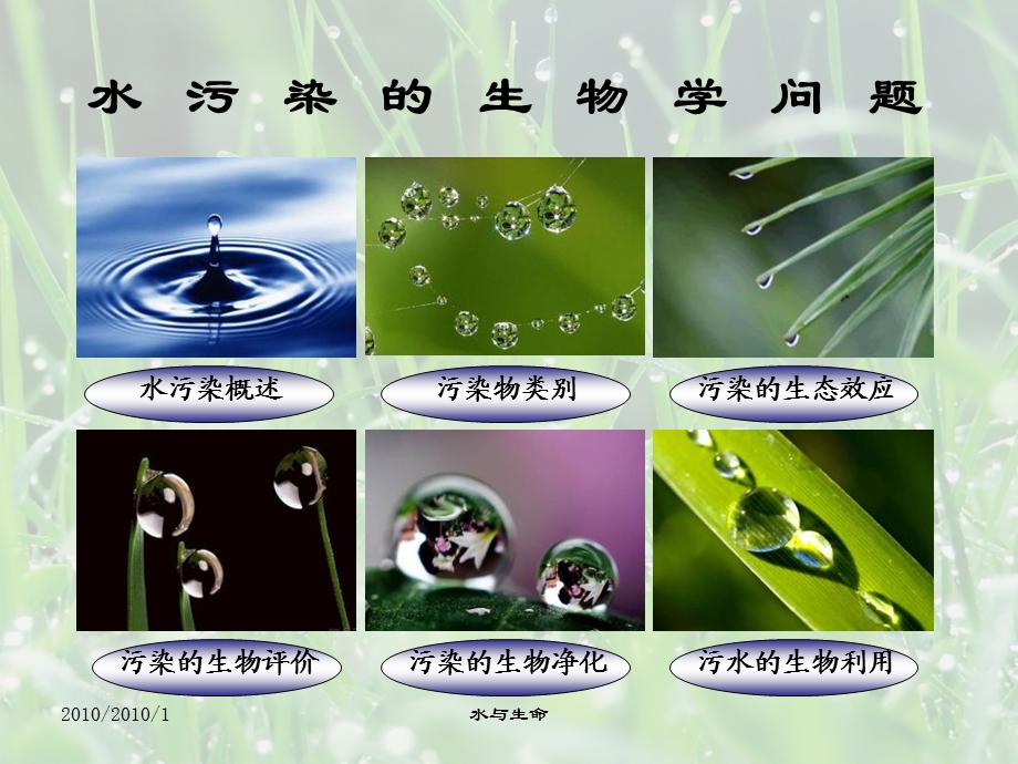 水污染的生物学问题.ppt_第2页