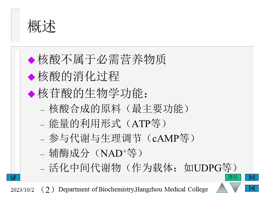 核苷酸代谢生物化学.ppt_第2页