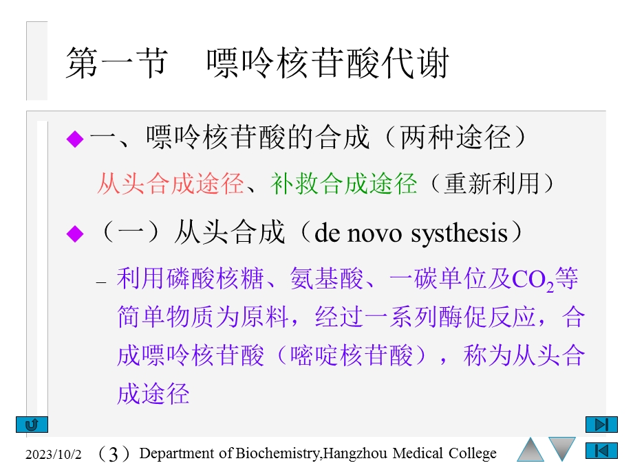 核苷酸代谢生物化学.ppt_第3页