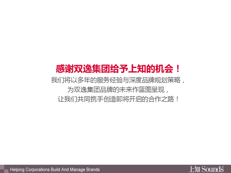 某集团品牌规划项目建议书.ppt_第3页