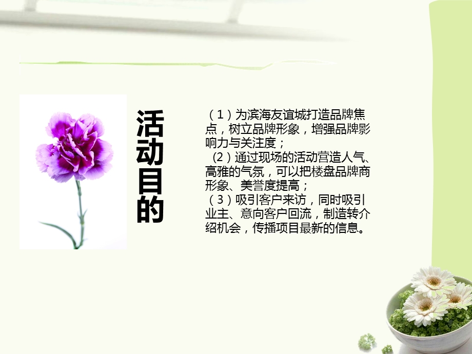 母亲节活动执行方案.ppt_第3页