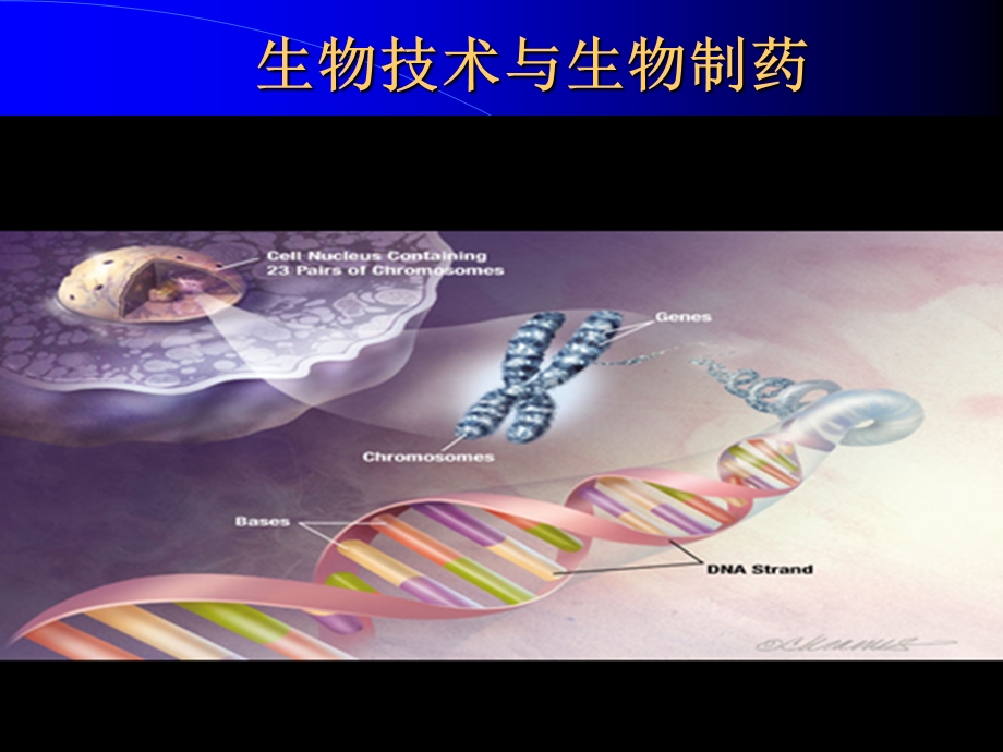 生物技术与生物制药.ppt_第1页