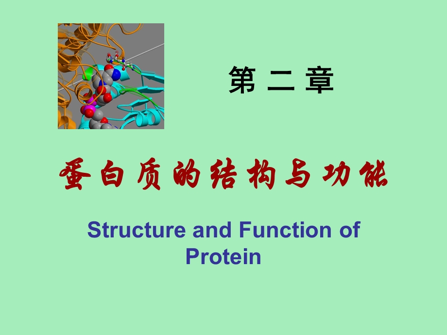 生物化学教案.ppt_第1页