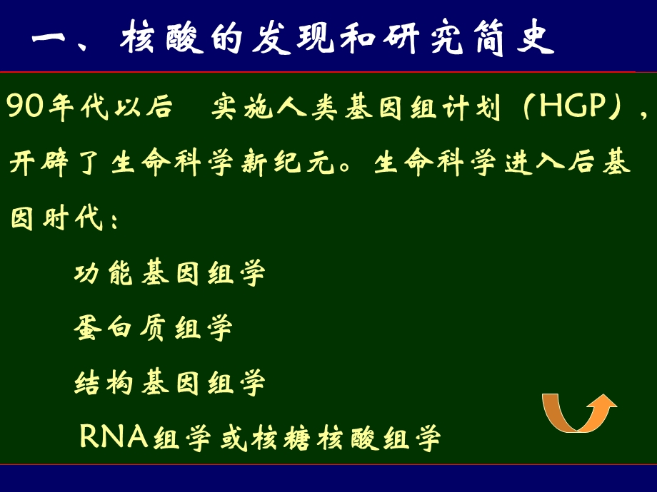 生物化学核酸的化学.ppt_第3页