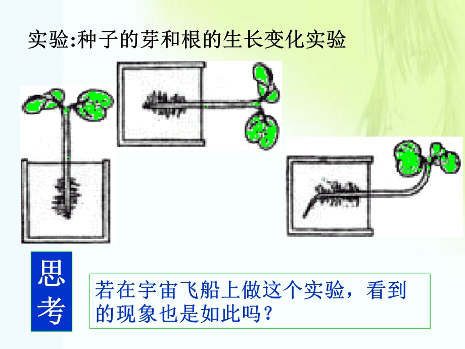 生命活动的调节学生用.ppt_第3页