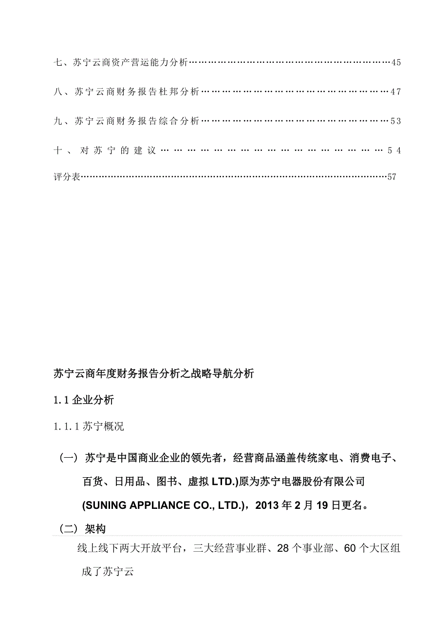 苏宁云商财务报告分析.doc_第3页