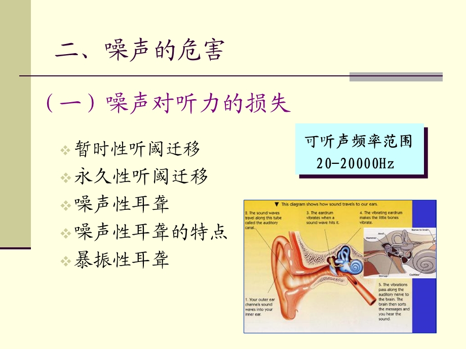 环境工程学第十章噪声与噪声污染.ppt_第3页