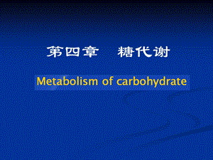 生物化学第四章.ppt