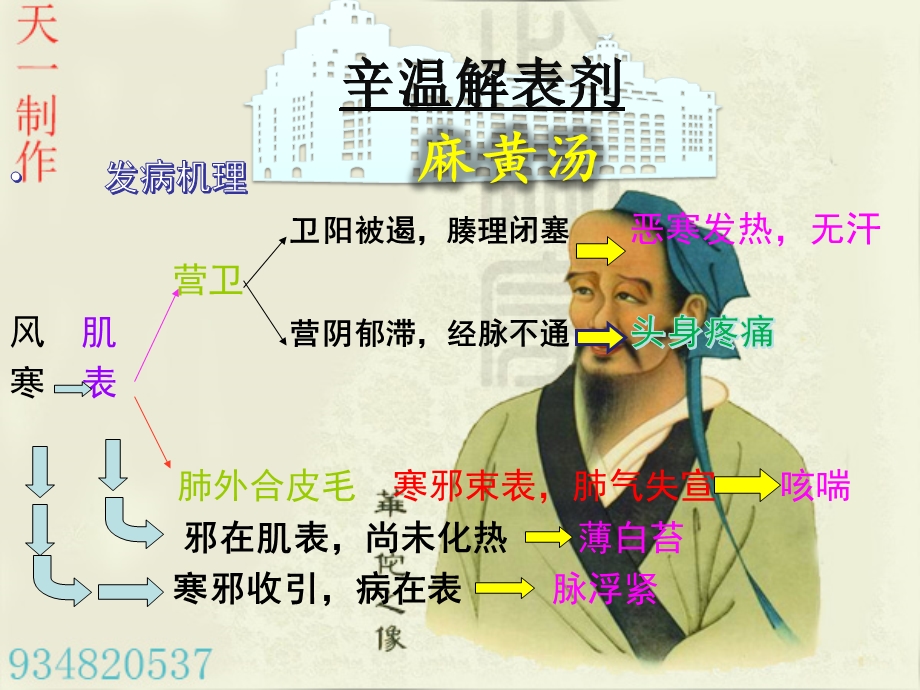 方剂学解表剂 ppt课件.ppt_第2页