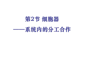 生物必修一细胞器.ppt