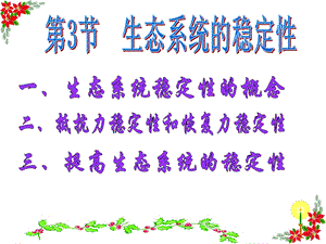 生态系统的稳定性讲.ppt