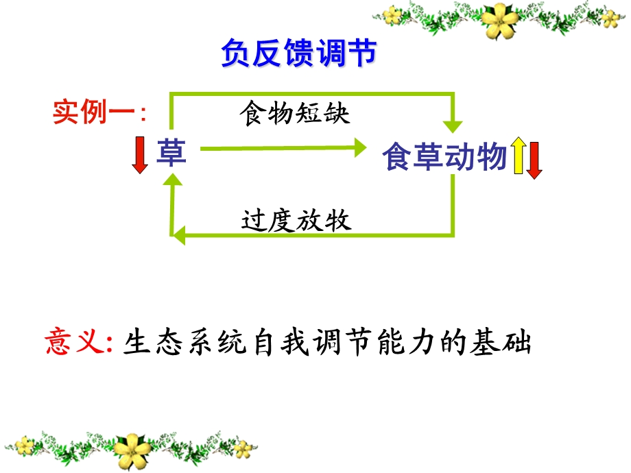 生态系统的稳定性文班.ppt_第1页