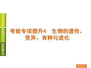 生物的遗传、变异、育种与进化共55张.ppt