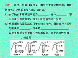 生态系统结构.ppt