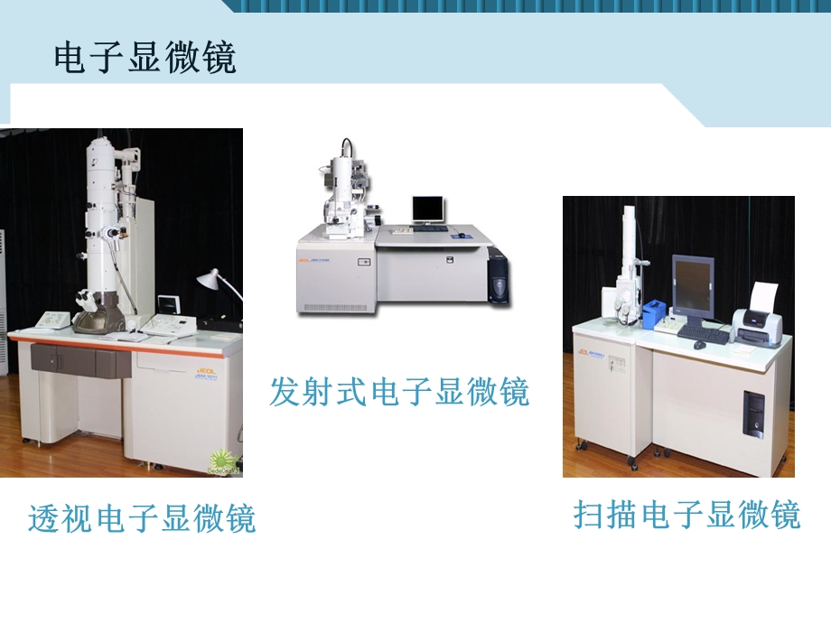 21.1练习使用显微镜.ppt_第3页