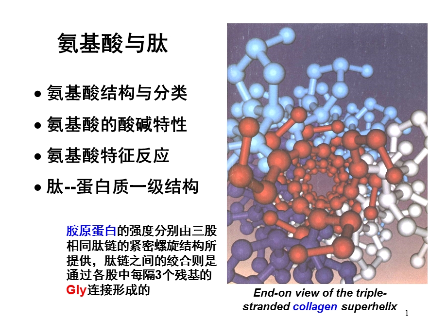 生物化学04氨基酸与肽.ppt_第1页