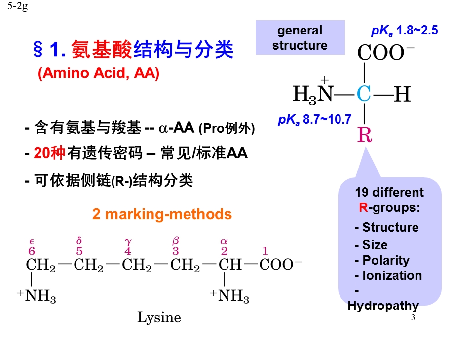 生物化学04氨基酸与肽.ppt_第3页