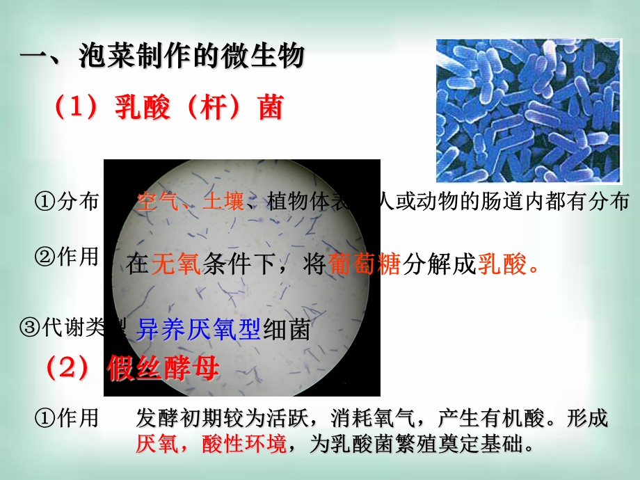 生物选修一泡菜的腌制和亚硝酸的测定.ppt_第3页