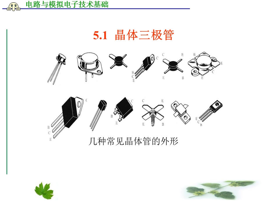 晶体三极管及其基本放大电路新使用.ppt_第2页