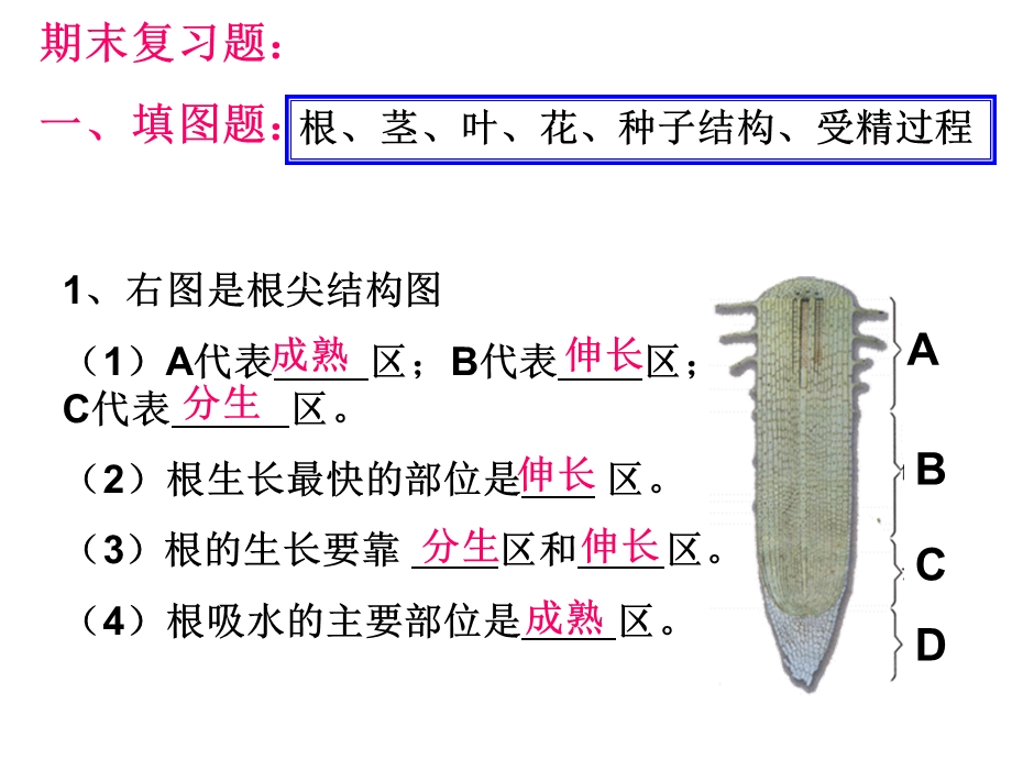 生物七上期末复习题.ppt_第1页