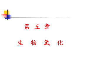 生物化学-第五章生物氧化.ppt