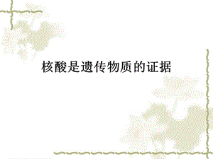 核酸是遗传物质的证据定稿.ppt