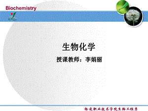 核酸降解和核苷酸代谢.ppt