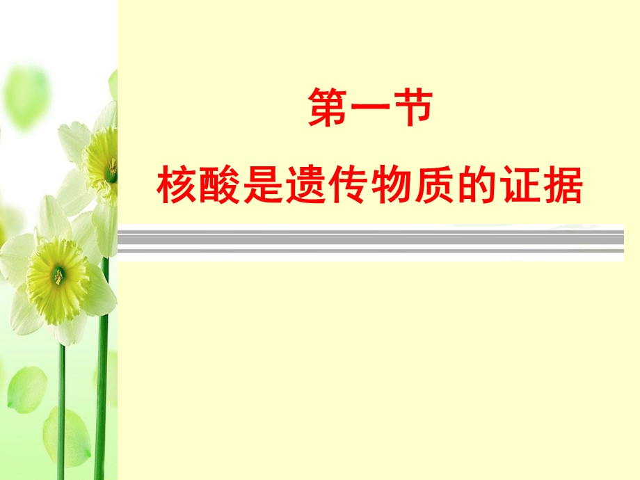 核酸是遗传物质的证据梁刚.ppt_第2页