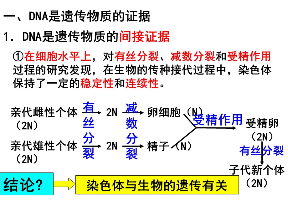 核酸是遗传物质的证据梁刚.ppt_第3页