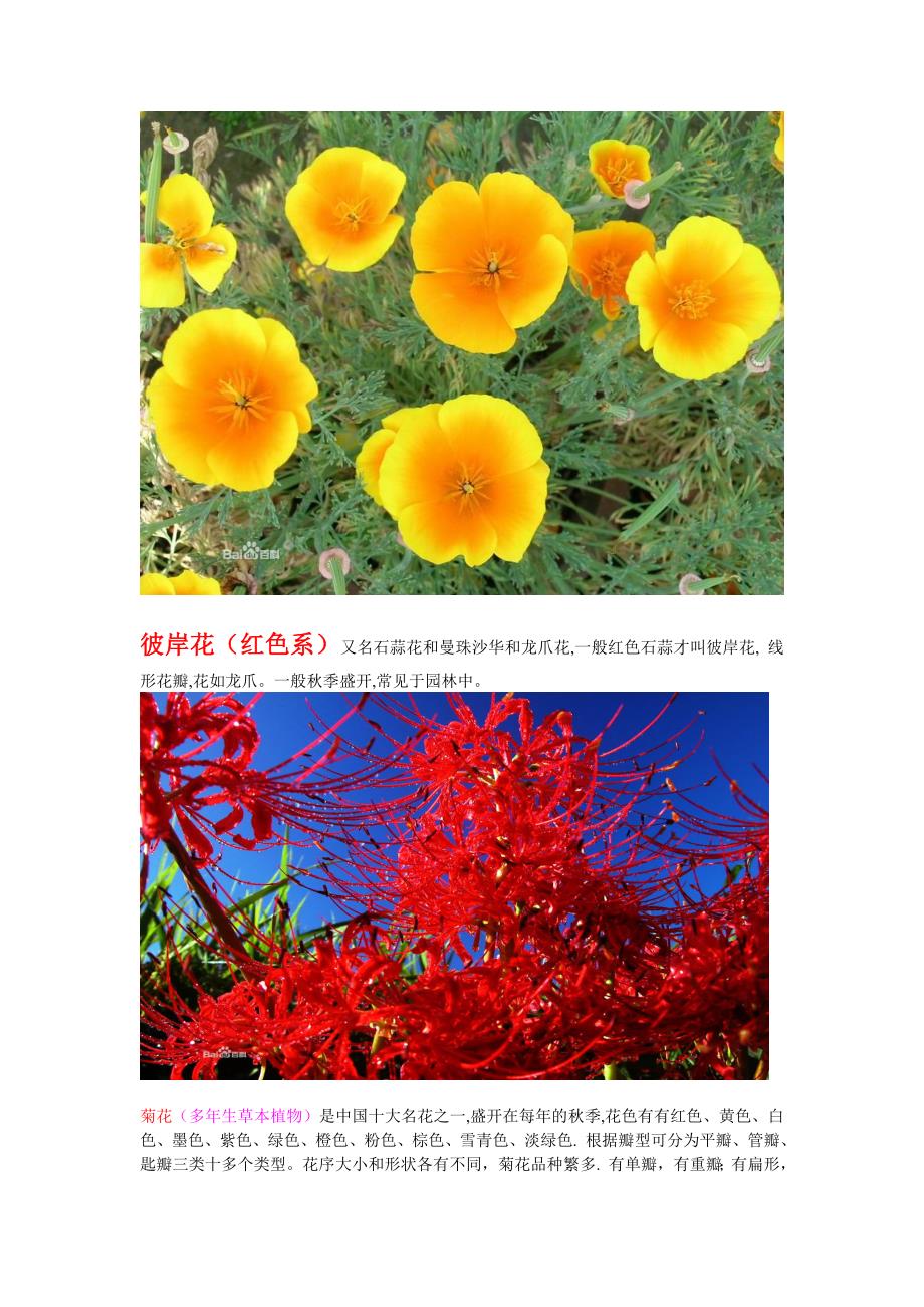 花卉常识附带图片.doc_第2页