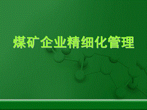 煤矿企业精细化管理.ppt