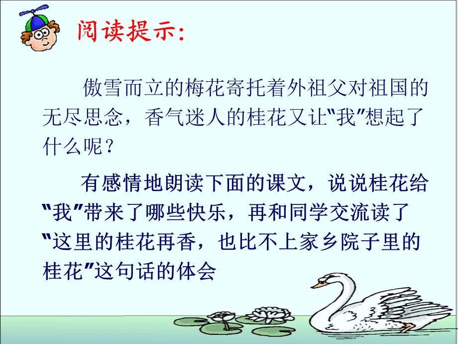 桂花雨人教版小语五上.ppt_第3页