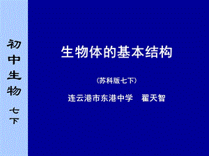 生物体的基本结构.ppt