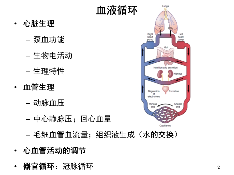 生理学课件血液循环临床医学本科人卫第八版.ppt_第2页