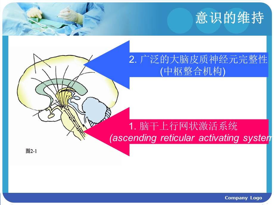 昏迷病人护理查房.ppt_第3页