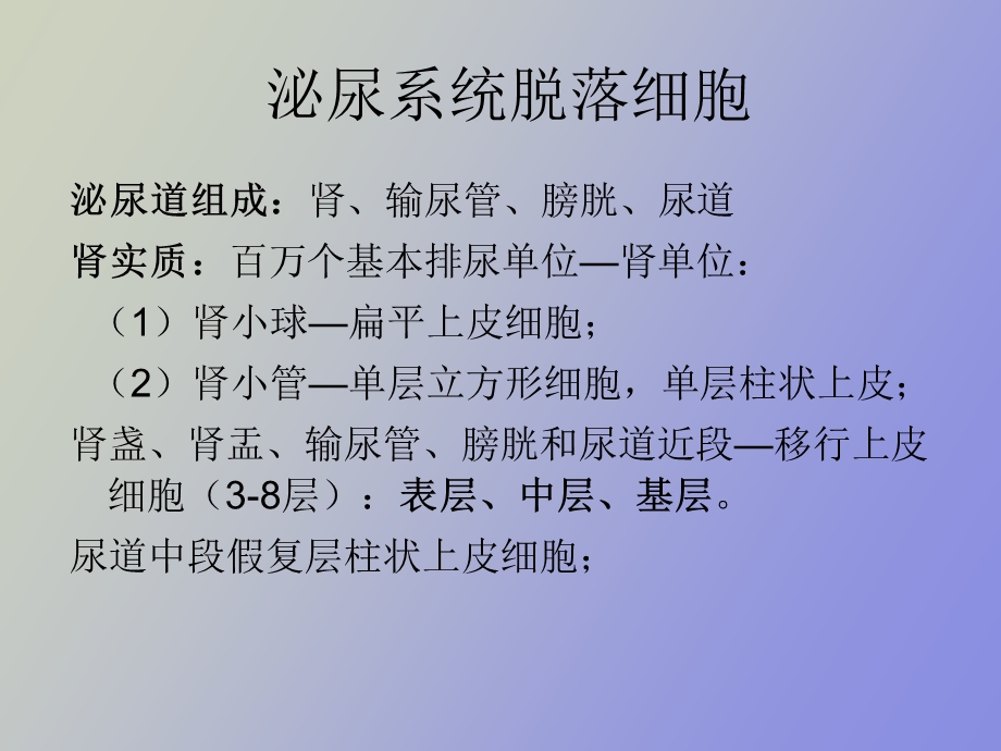 浆膜腔积液脱落细胞学检查.ppt_第2页