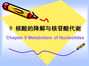 核酸的降解与核苷酸代谢9MetabolismofNucl.ppt