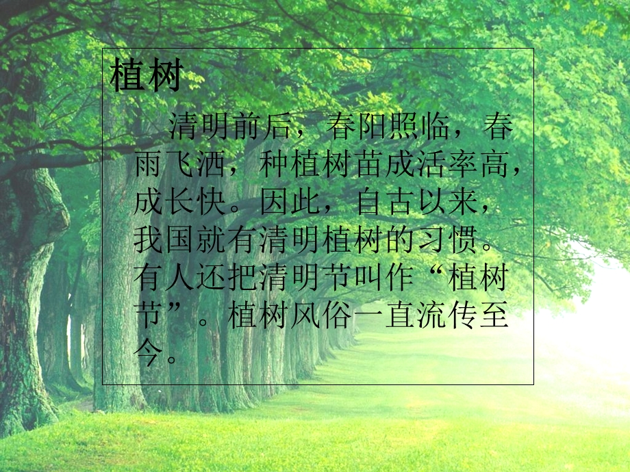 清明节假期主题班会.ppt_第3页