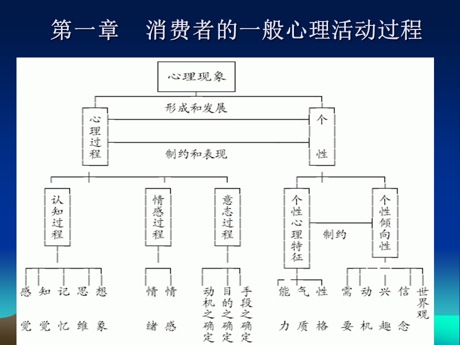 消费者的一般心理活动过程.ppt_第1页